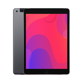 Apple iPad 10.2" 7th Gen (WiFi & Cellular) 32GB Space Grey